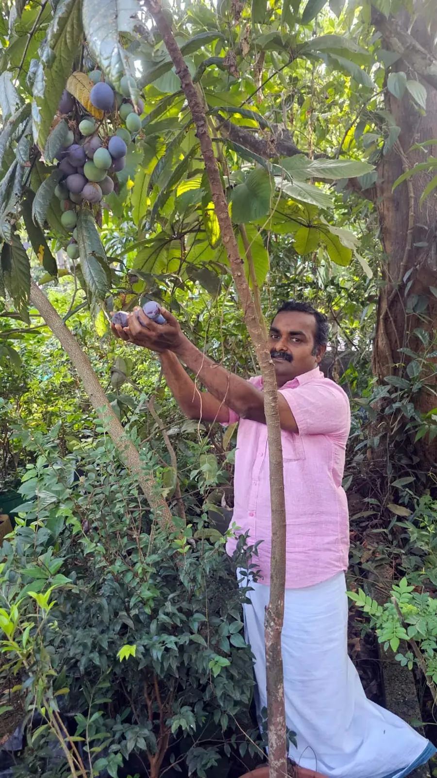 പ്രജീഷ് ജനൻ വീട്ടുവളപ്പിലെ തോട്ടത്തിൽ