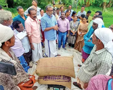 ഉപ്പുവെള്ളം കയറി ഗുണനിലവാരം കുറഞ്ഞ നെല്ല്  സംഭരിക്കാന്‍ ആരംഭിച്ച  അമ്പലപ്പുഴ നോർത്ത് കൃഷിഭവന് കീഴിലെ കൊപ്പാറക്കടവ് കാട്ടുകോണം  പാടശേഖരത്തിലെ സംഭരണ നടപടികൾ മന്ത്രി പി പ്രസാദ് പരിശോധിക്കുന്നു 