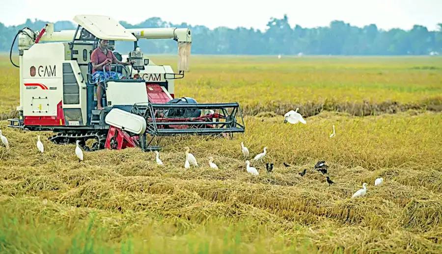 harvesting