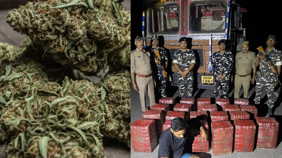 ARRESTED WITH GANJA