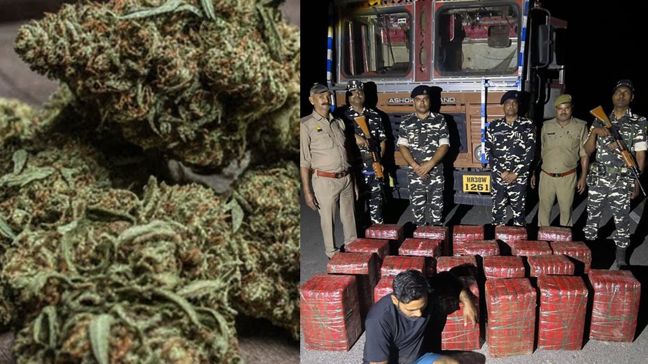ARRESTED WITH GANJA