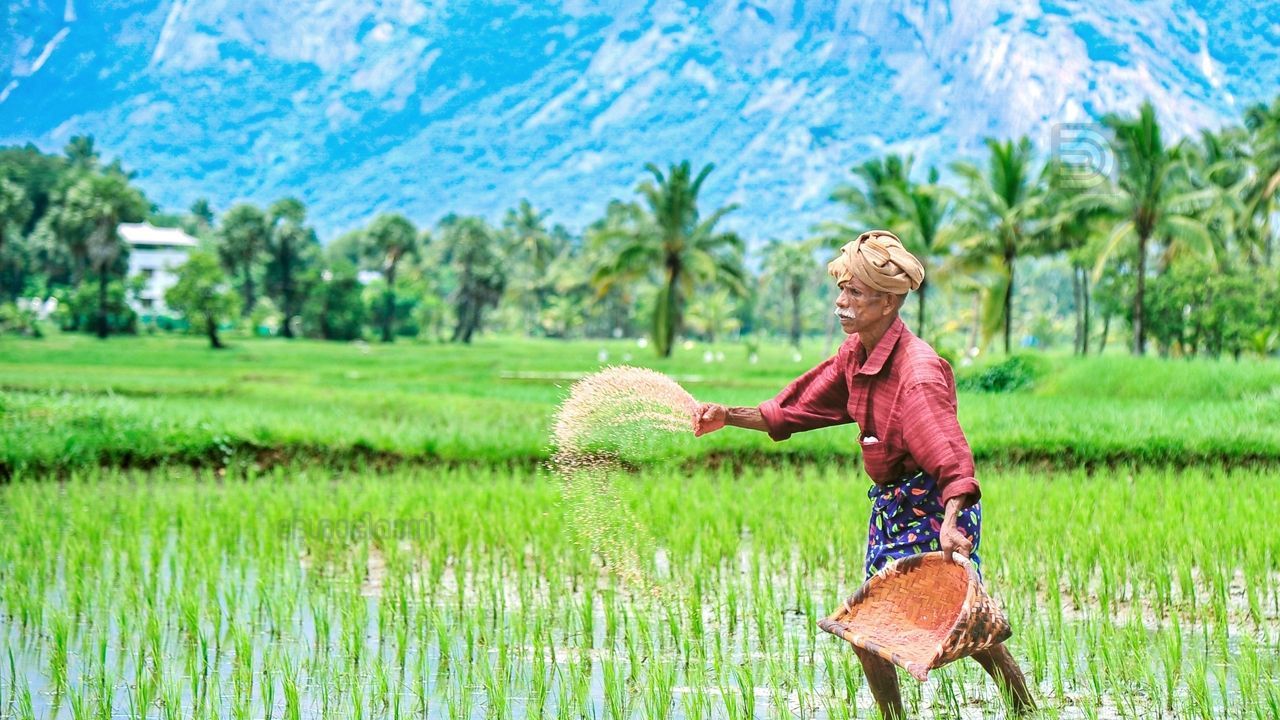 Agriculture