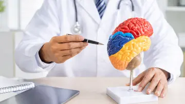 Alzheimers Brain
