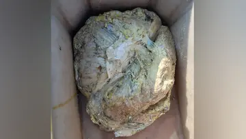 Ambergris