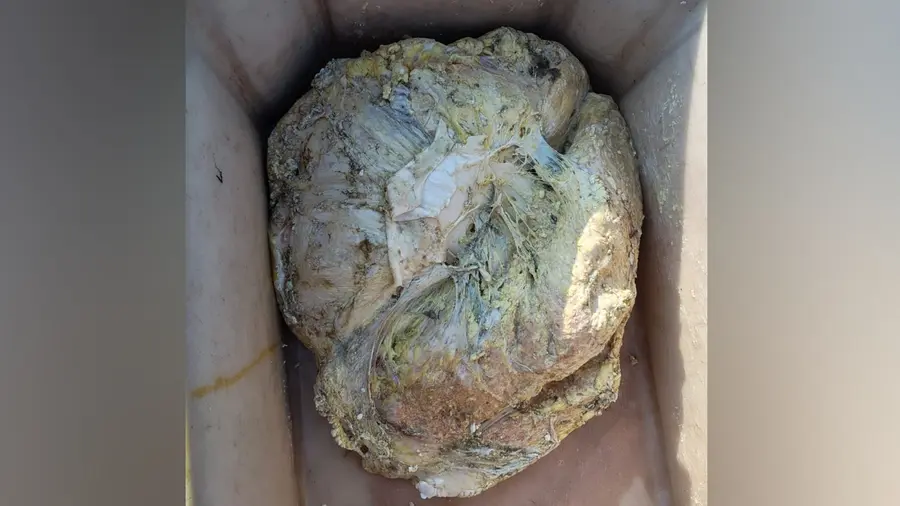 Ambergris