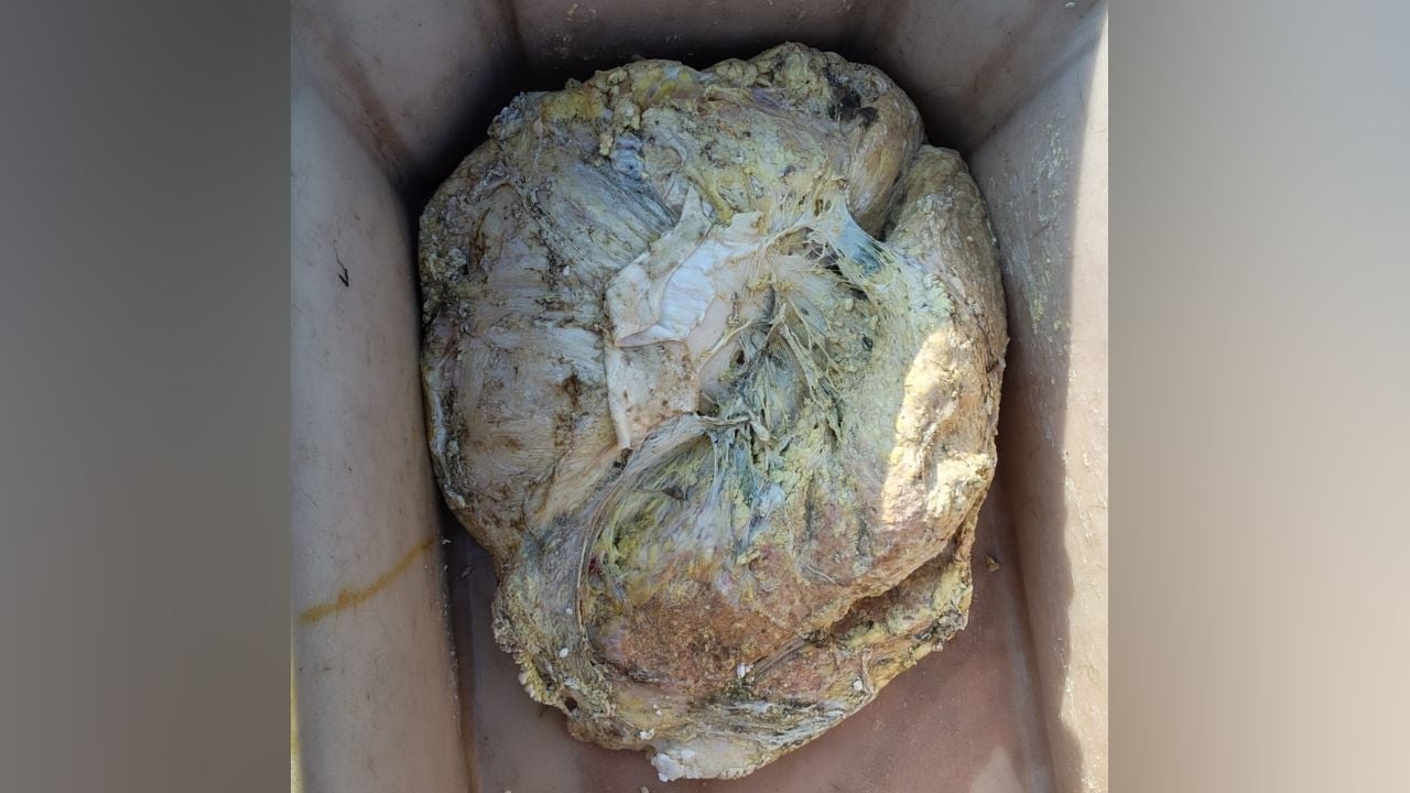 Ambergris