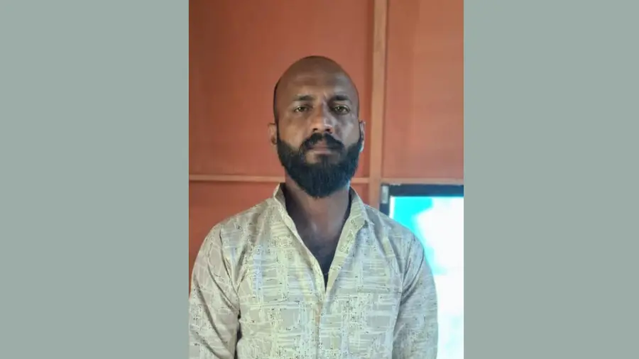 Anil