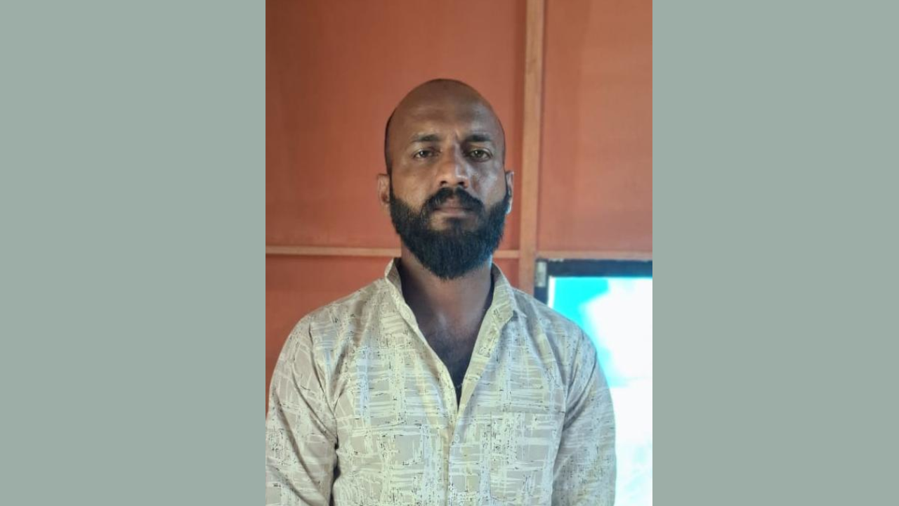 Anil