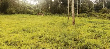 നൂറനാട് പി കൃഷ്ണപിള്ള സാംസ്കാരികനിലയം നിർമിക്കാൻ കണ്ടെത്തിയ സ്ഥലം