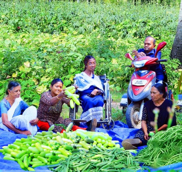 When the vegetable crops of the conservation agricultural collective were harvested
