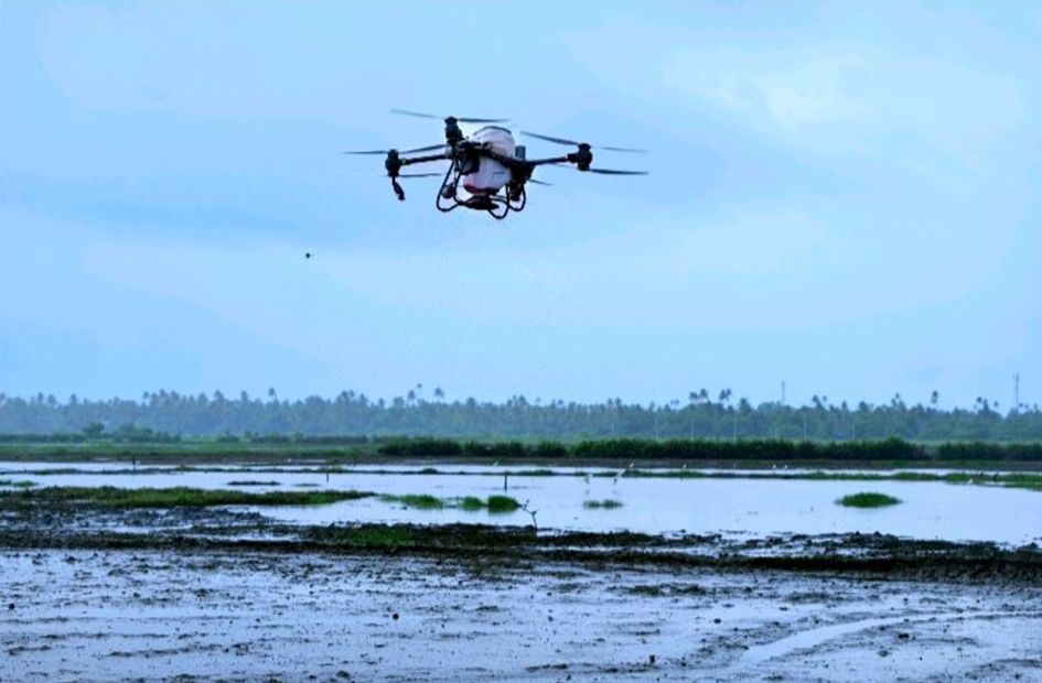 ചെമ്പകശേരി പാടശേഖരത്തിൽ ഡ്രോൺ  ഉപയോഗിച്ച് വിത്തുവിതയ-്ക്കുന്നു