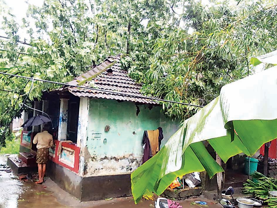 എഴുപുന്ന ആറാംവാർഡിലെ കൊച്ചുകോണത്ത് നെബീസയുടെ  വീടിനുമുകളിൽ പഞ്ഞിമരം വീണനിലയിൽ