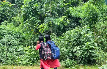 ആര്യങ്കാവ് ഫോറസ്റ്റ് റേഞ്ച്  ഓഫീസിന് മുന്നിൽ  ദേശീയപാതയോരത്ത് വളർന്നിറങ്ങിയ കാട്