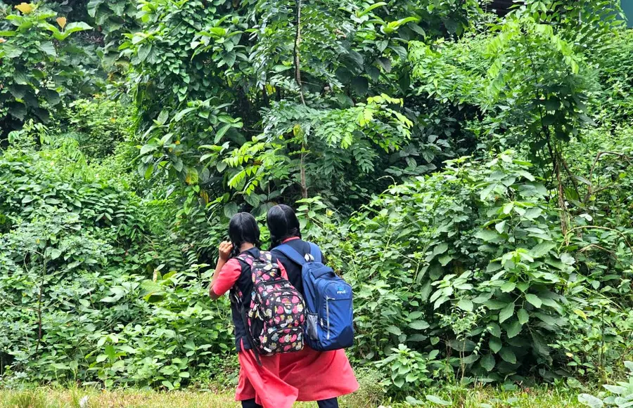 ആര്യങ്കാവ് ഫോറസ്റ്റ് റേഞ്ച് ഓഫീസിന് മുന്നിൽ ദേശീയപാതയോരത്ത് വളർന്നിറങ്ങിയ കാട്