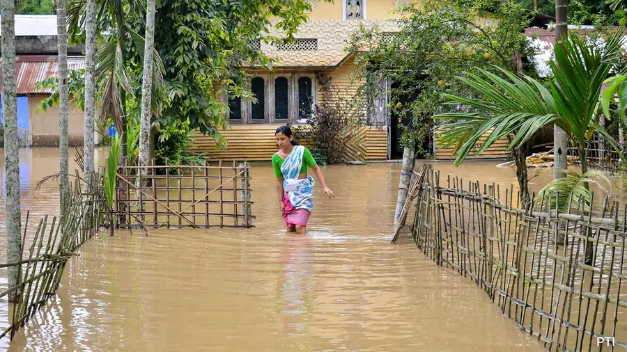 Assam.jpg