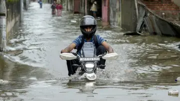 Assam.jpg