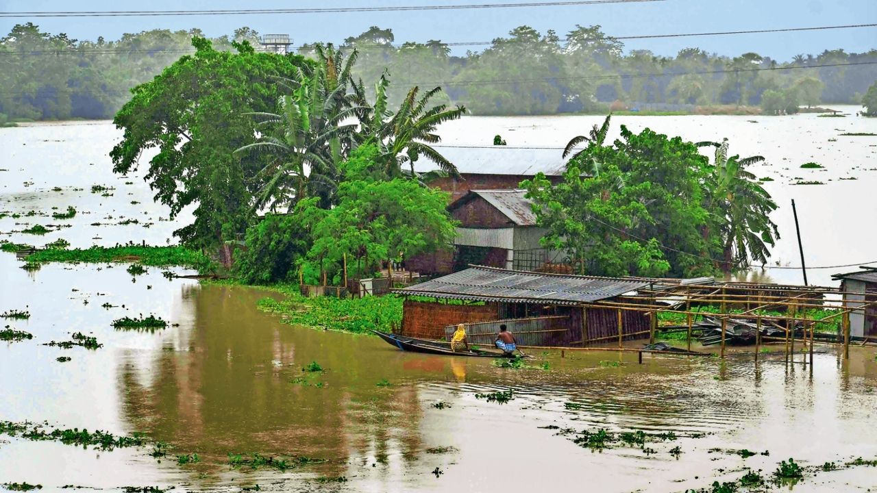 Assam.jpg