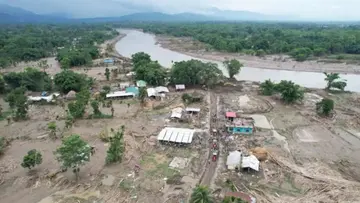 Assam.jpg