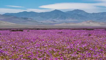 Atacama