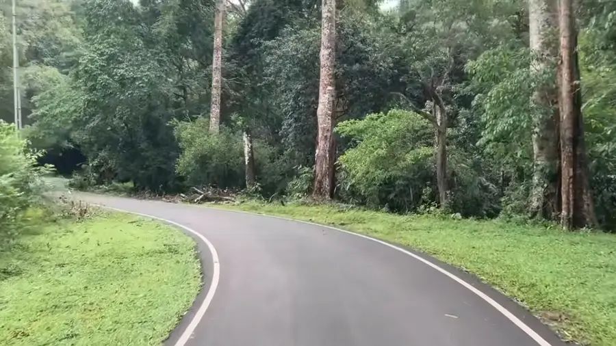 Athirappilly Malakkappara Road