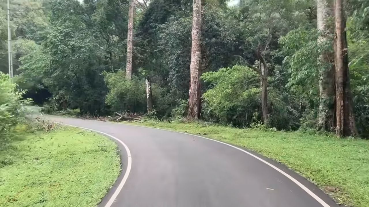 Athirappilly Malakkappara Road