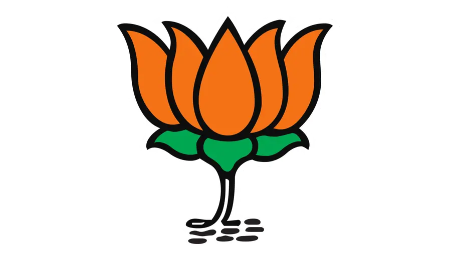BJP contractor tried to kill woman