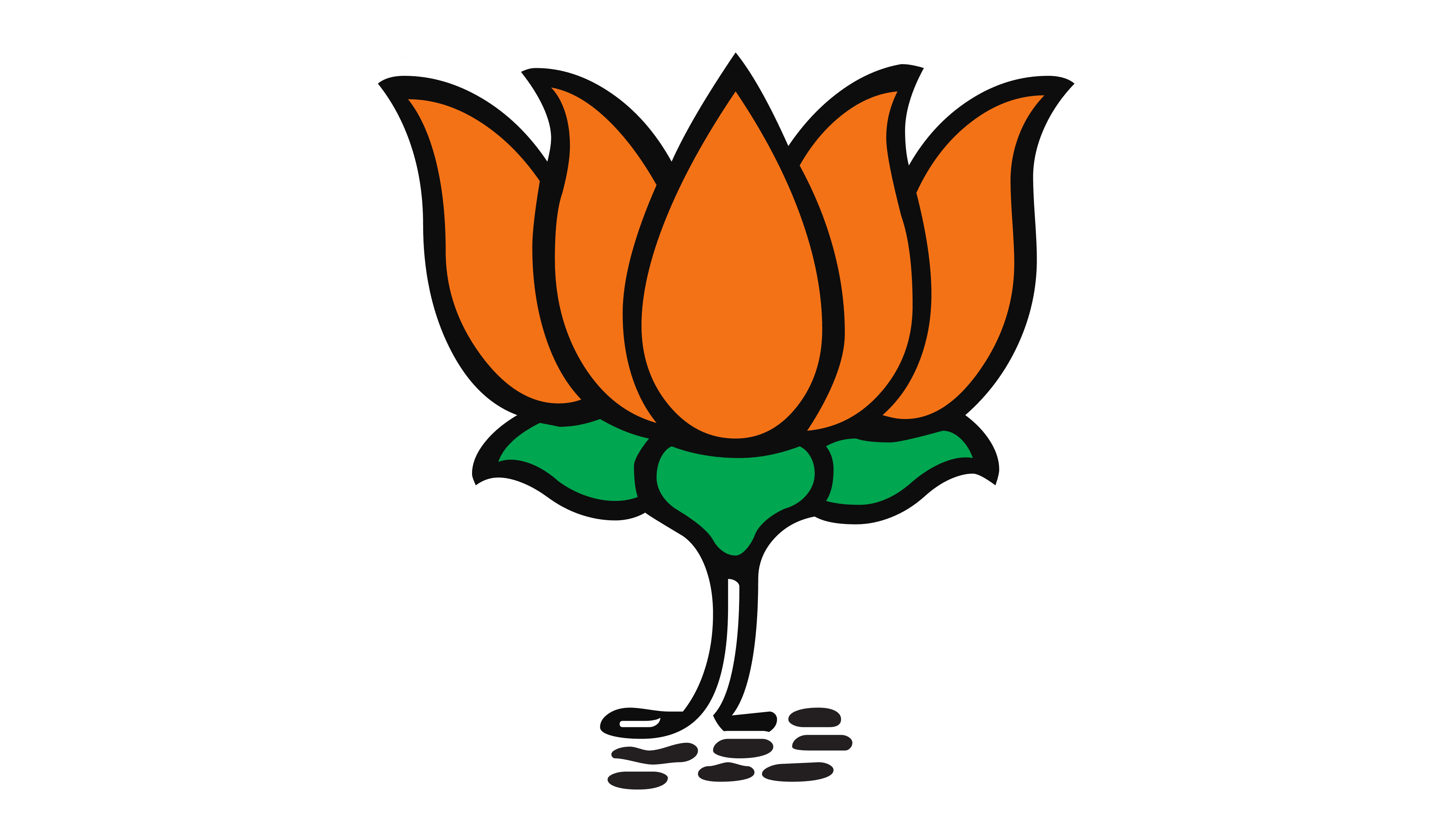 BJP contractor tried to kill woman