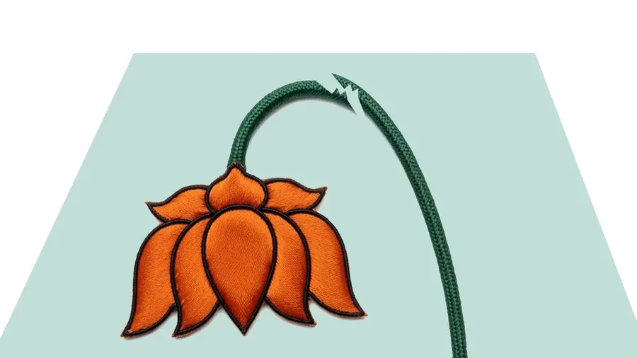BJP Fall