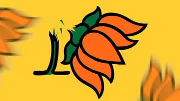 BJP Lost