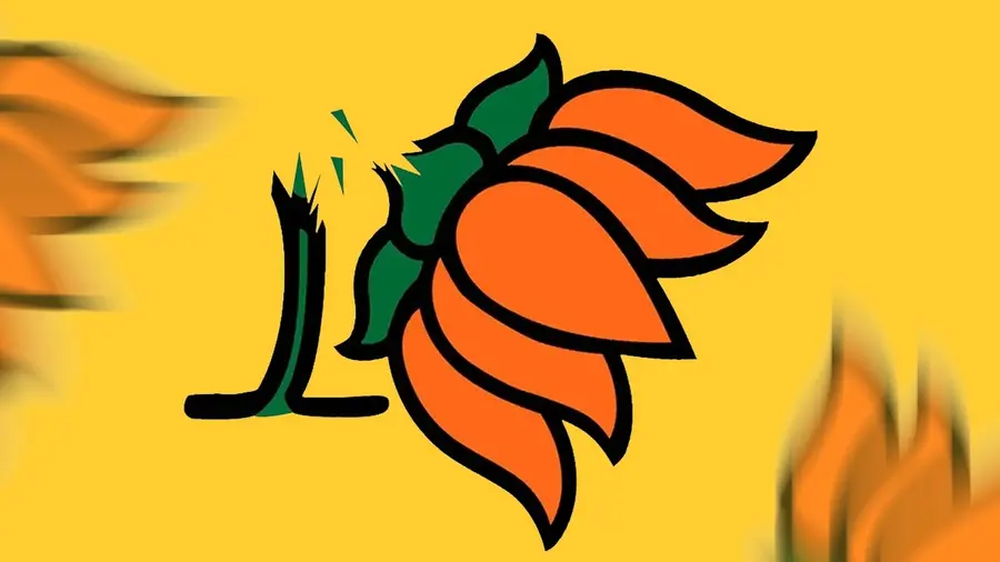 BJP Lost
