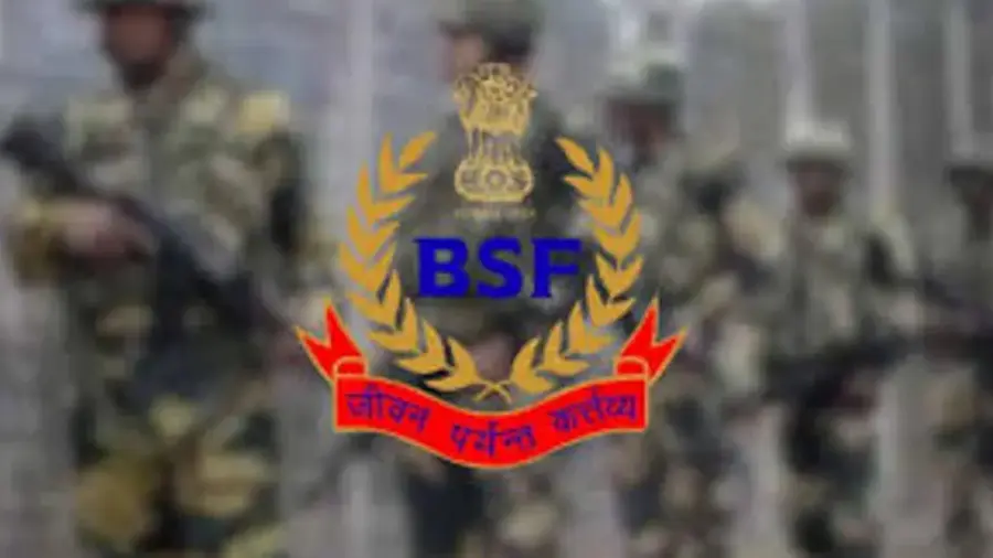 BSF.jpg