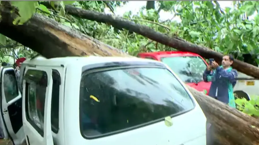 Bharatiya Vidya Bhavan Poochatty tree falls