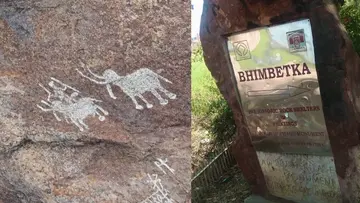 Bhimbetka caves