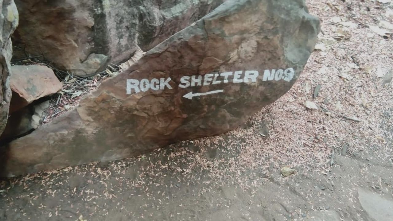 Bhimbetka caves