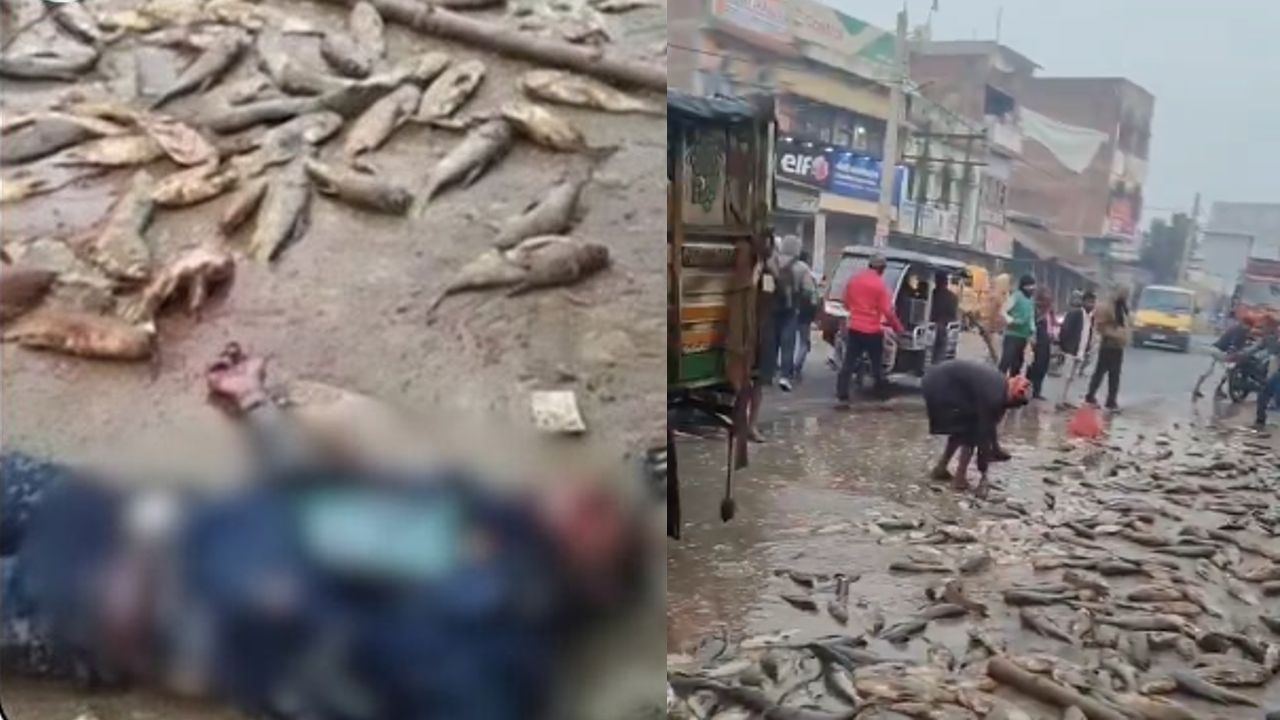 Bihar.jpg