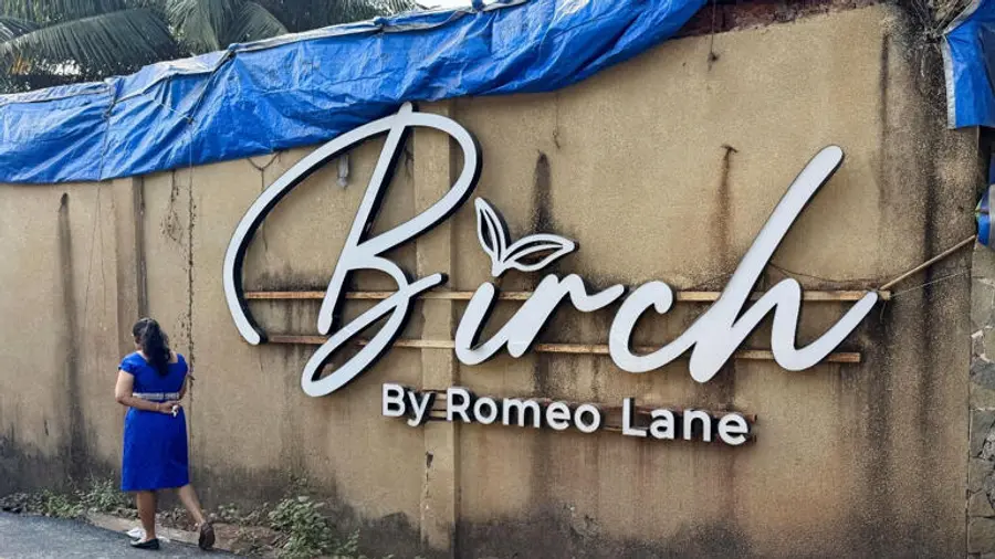 Birch by Romeo Lane