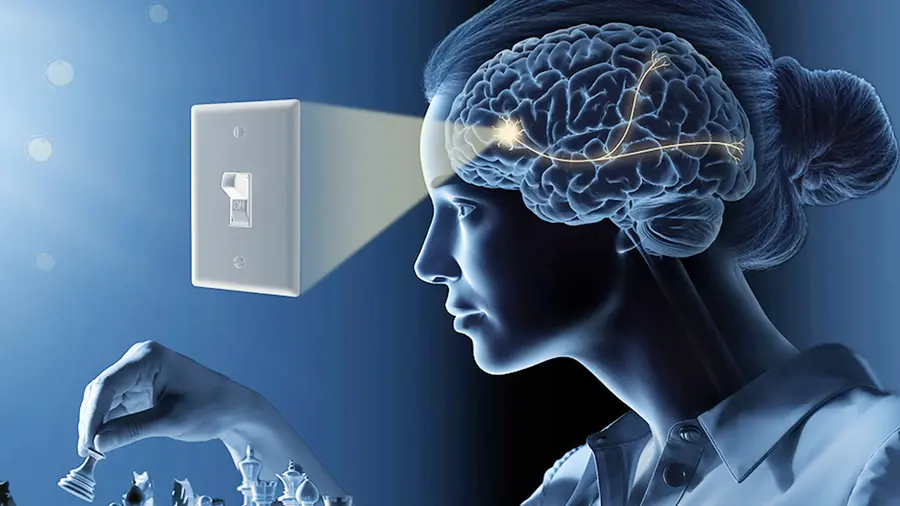 Brain