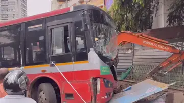 Bus
