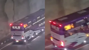 Bus.jpg