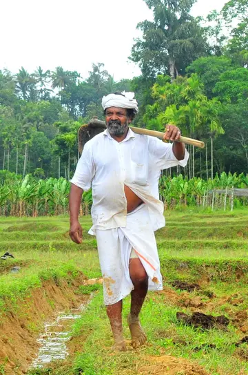 ചെറുവയൽ രാമന്റെ കാർഷികം