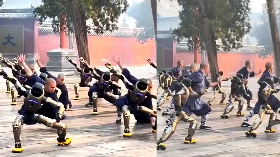 CHINA ROBOTS KUNG FU