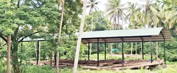 The best quality teak timber is available at the Kadalundi Chaliyam Timber Depot under the Forest Department.