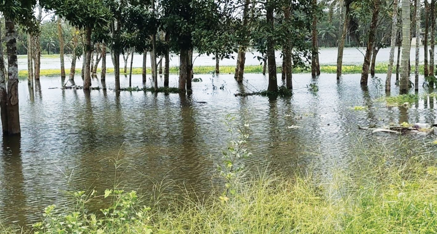 പടനിലത്തേക്കുള്ള റോഡിന്റെ ഇരുകരകളിലും വെള്ളംകയറിയപ്പോൾ