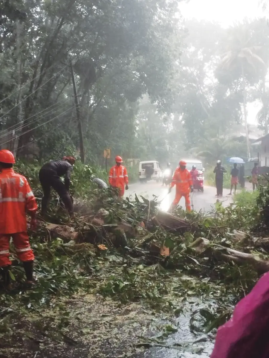 Fire brigade, police, KSEB and locals are working together to restore traffic at Charummoodu-Kudasanad junction after a tree fell.