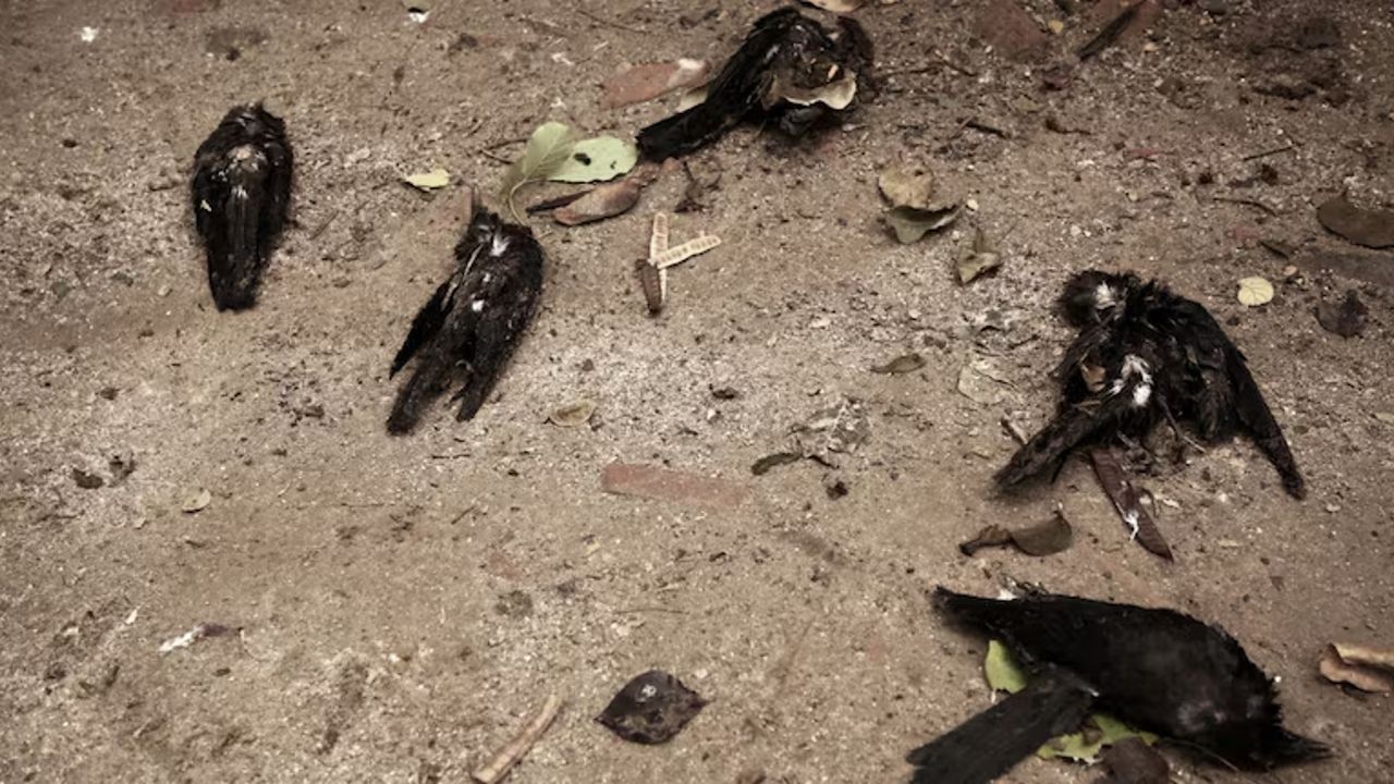 Chennai.jpg