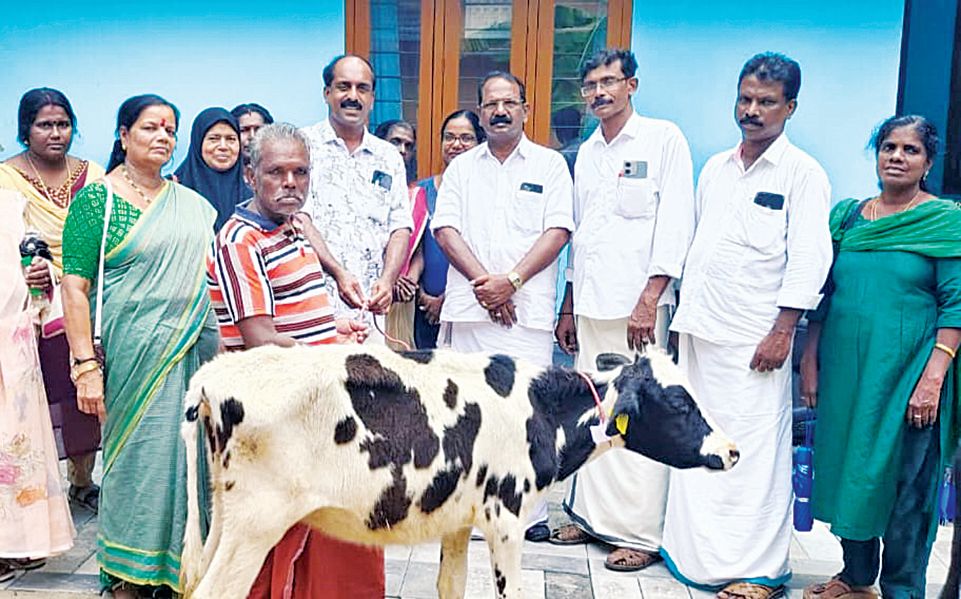 ചെറുതന പഞ്ചായത്ത് വാർഷിക പദ്ധതിയിൽ നൽകിയ പശുക്കിടാവുകളുടെ  വിതരണം പ്രസിഡന്റ്‌ ആർ രാജേഷ് ഉദ്ഘാടനംചെയ്യുന്നു