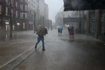 Typhoon Dolphin