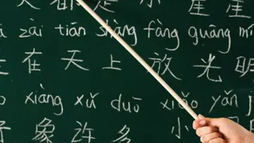 Chinese Language