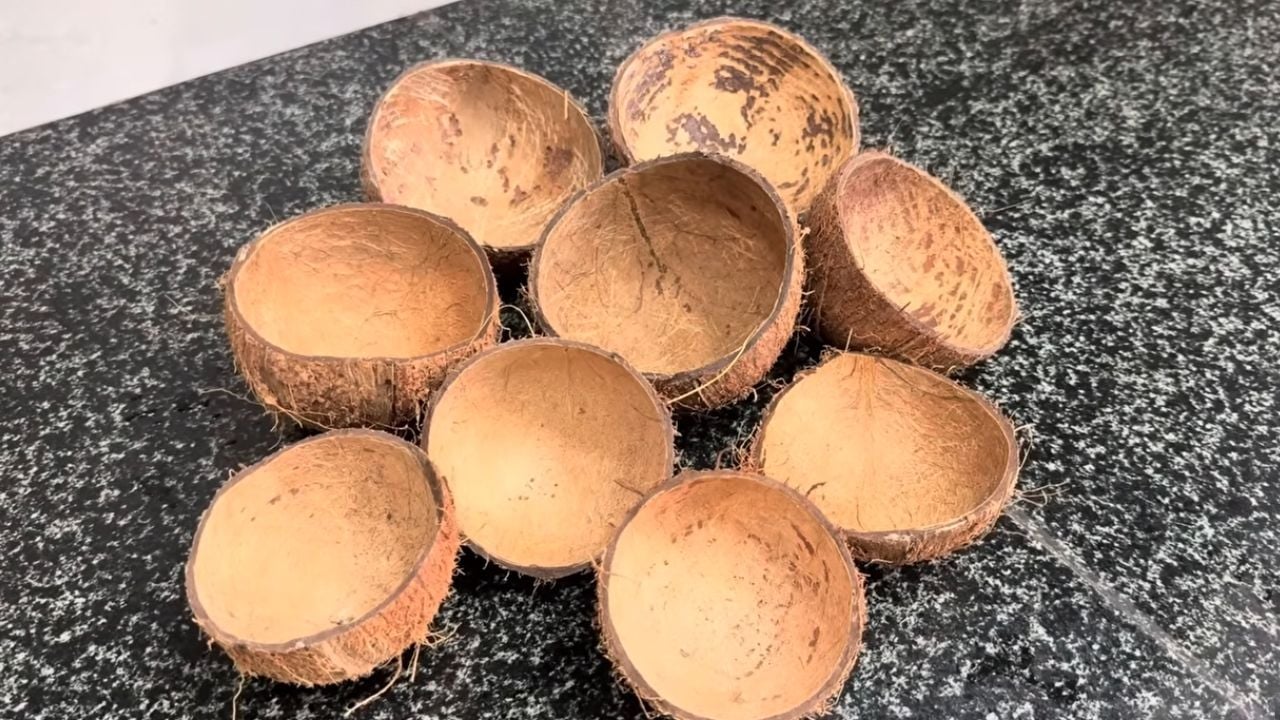 Coconut Shell
