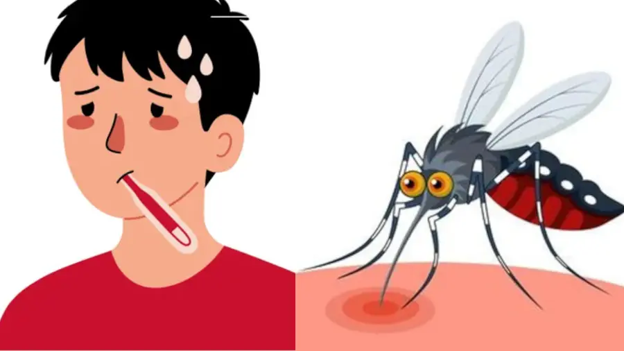 Communicable Diseases.jpg